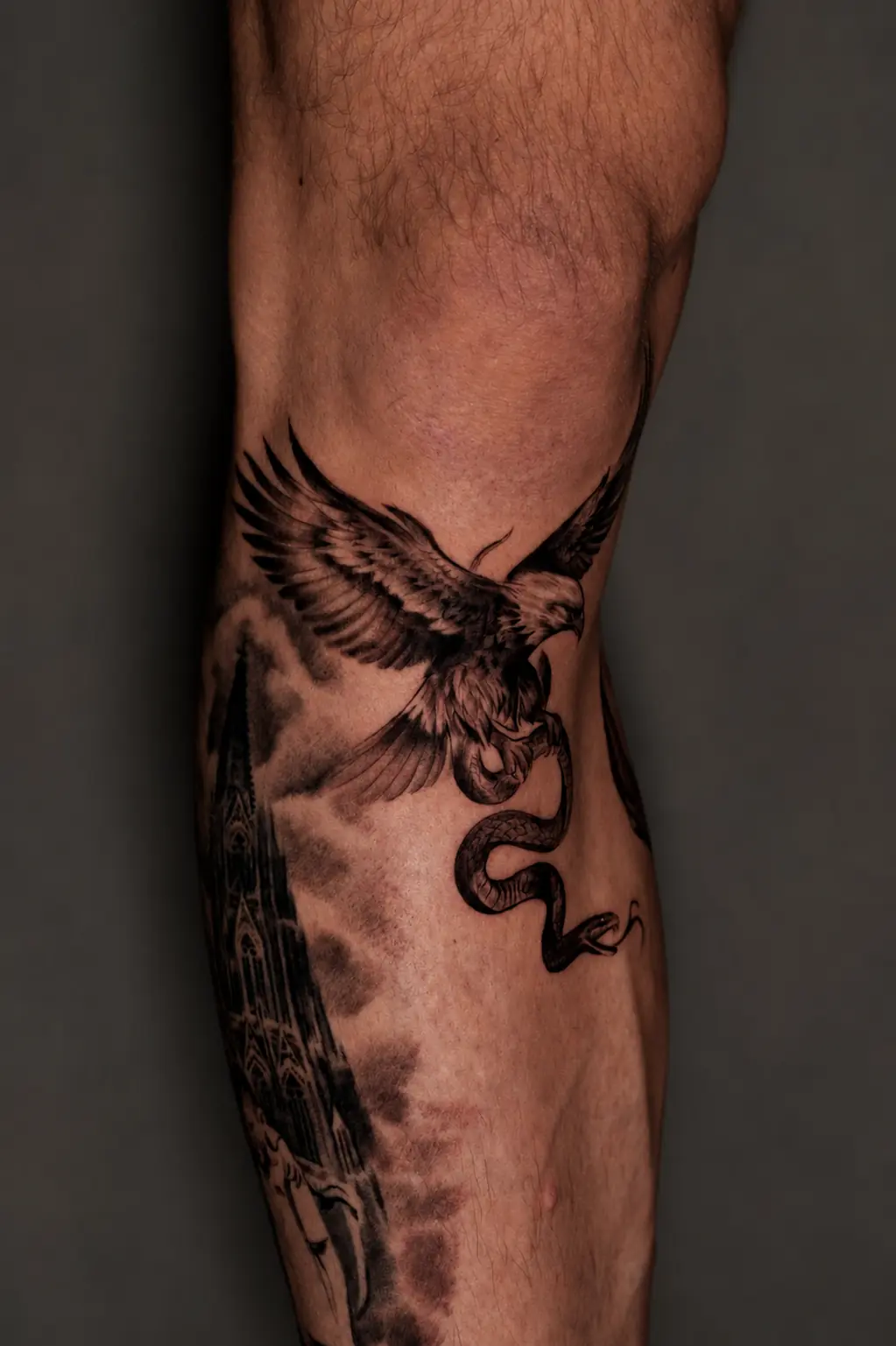 Adler und Schlange in einer Black-and-Grey-Komposition